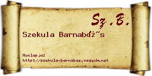 Szekula Barnabás névjegykártya